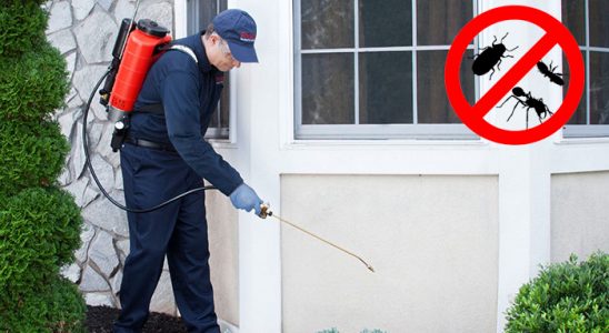 Gölhisar Dezenfeksiyon böcek ilaçlama ve haşere kontrolü — ilaclama-tr.com